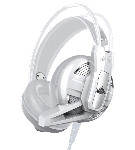 Ant Esports H520W